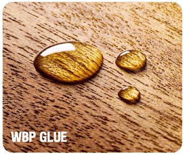 WBP